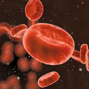 Bloodborne Pathogens Training